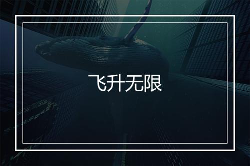 飞升无限