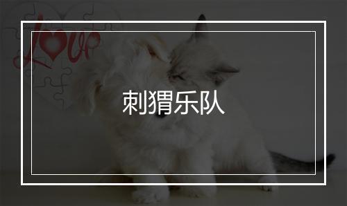 刺猬乐队