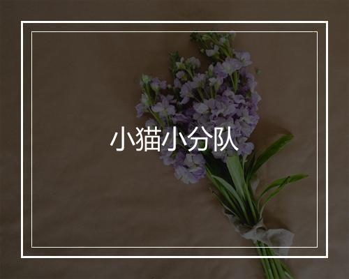 小猫小分队