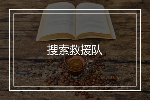 搜索救援队