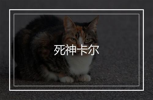 死神卡尔