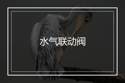 水气联动阀