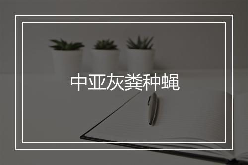 中亚灰粪种蝇