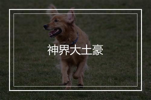 神界大土豪