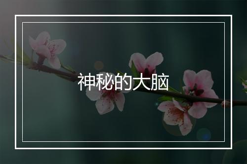 神秘的大脑