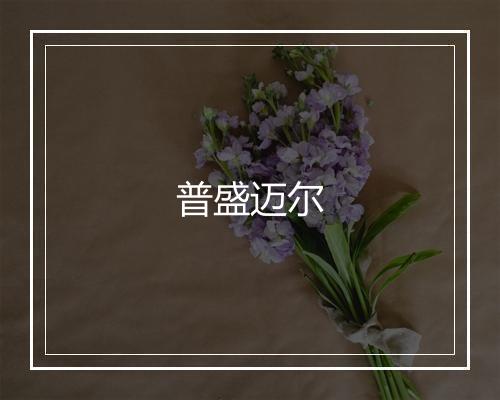 普盛迈尔