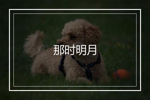 那时明月