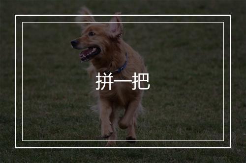 拼一把