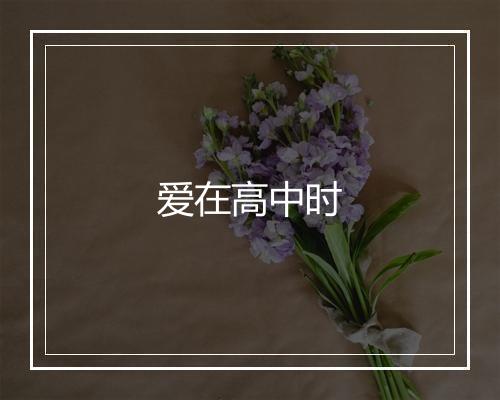 爱在高中时