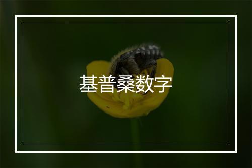 基普桑数字