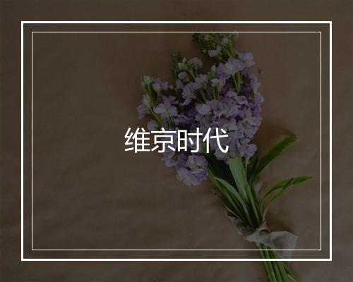 维京时代