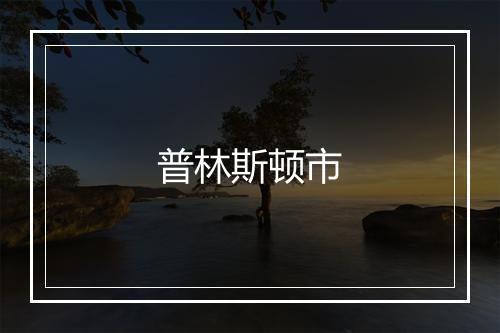 普林斯顿市