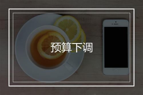 预算下调