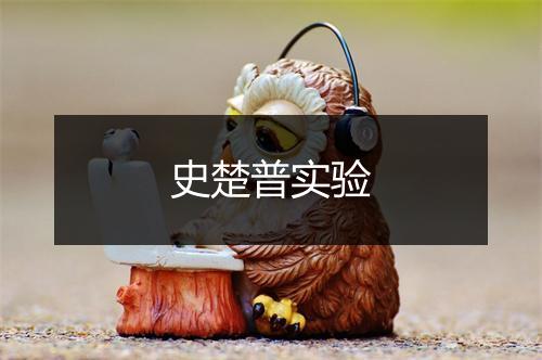 史楚普实验