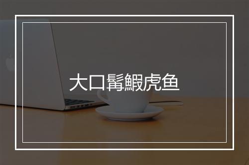 大口髯鰕虎鱼