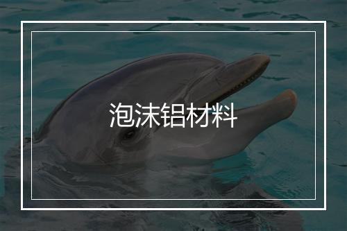 泡沫铝材料