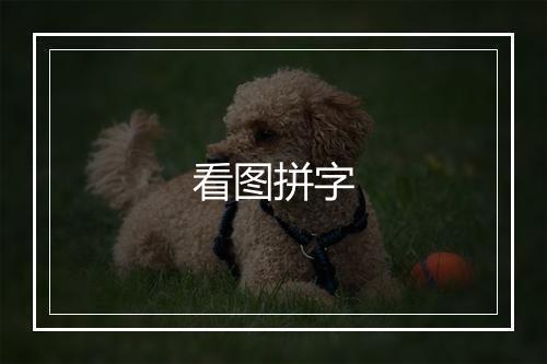 看图拼字