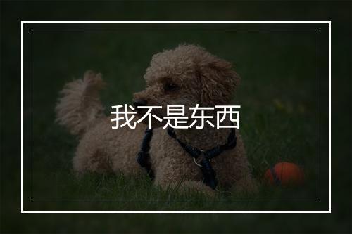 我不是东西