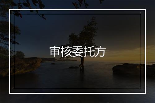 审核委托方