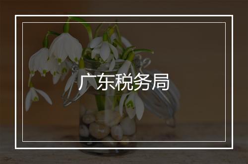 广东税务局