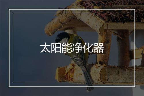 太阳能净化器