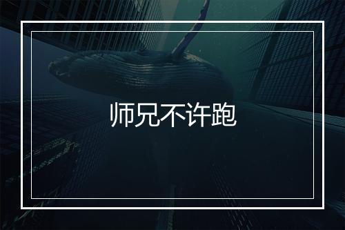 师兄不许跑