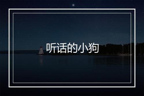 听话的小狗