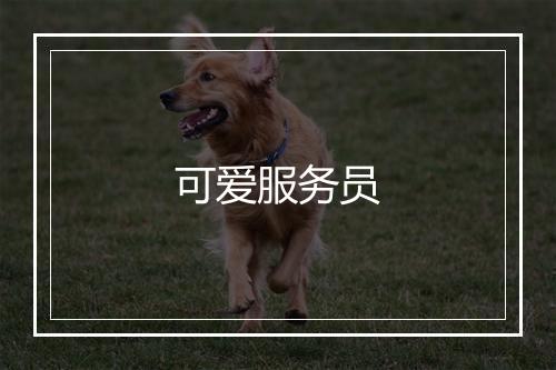 可爱服务员