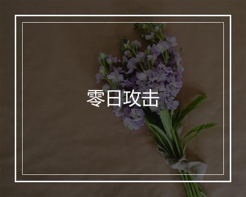 零日攻击