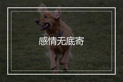 感情无底寄