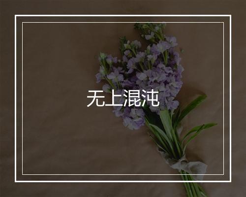 无上混沌