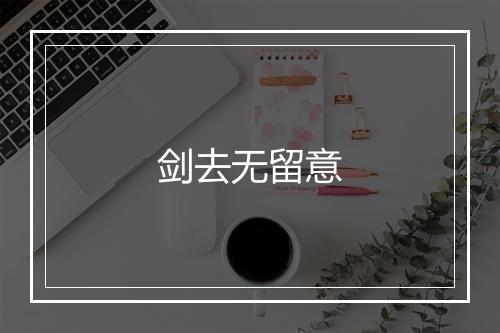 剑去无留意