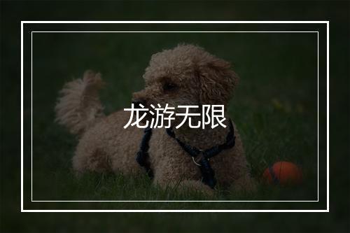 龙游无限