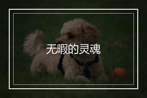 无暇的灵魂