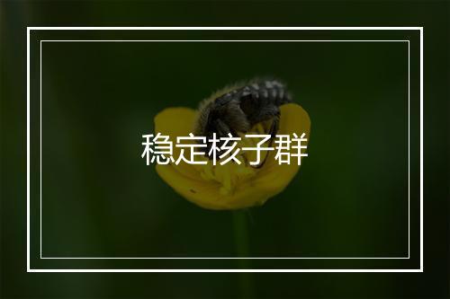 稳定核子群