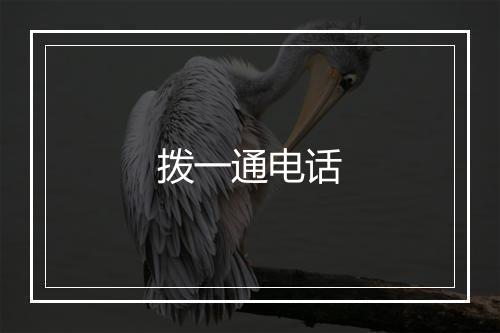 拨一通电话