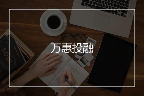 万惠投融