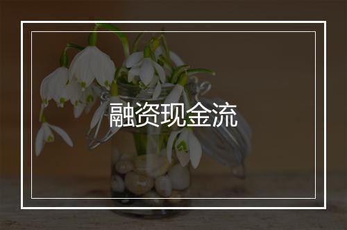 融资现金流