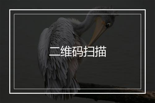 二维码扫描