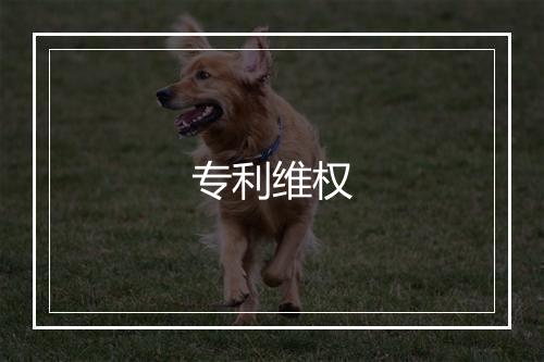 专利维权