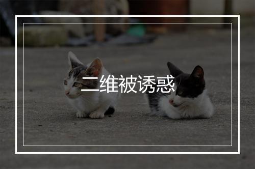 二维被诱惑