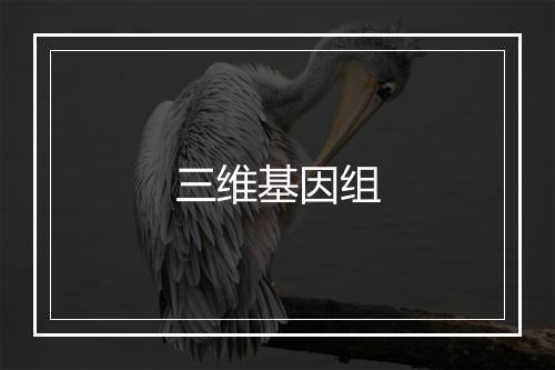 三维基因组