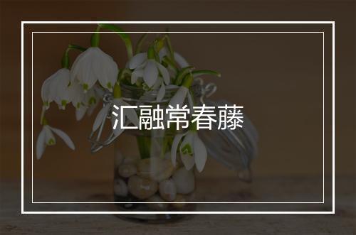 汇融常春藤