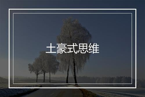 土豪式思维