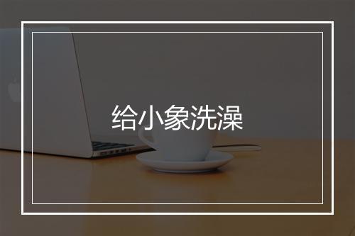 给小象洗澡