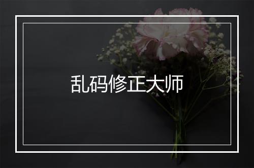 乱码修正大师