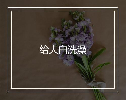 给大白洗澡