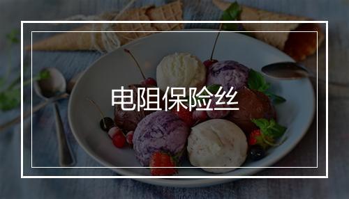 电阻保险丝