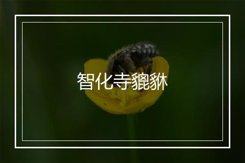 智化寺貔貅