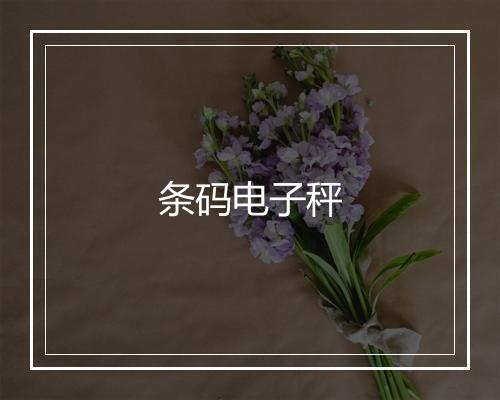 条码电子秤